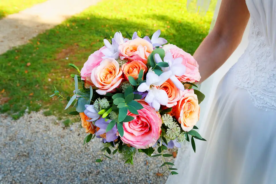 Pascal Terraz Photographie — photo 4