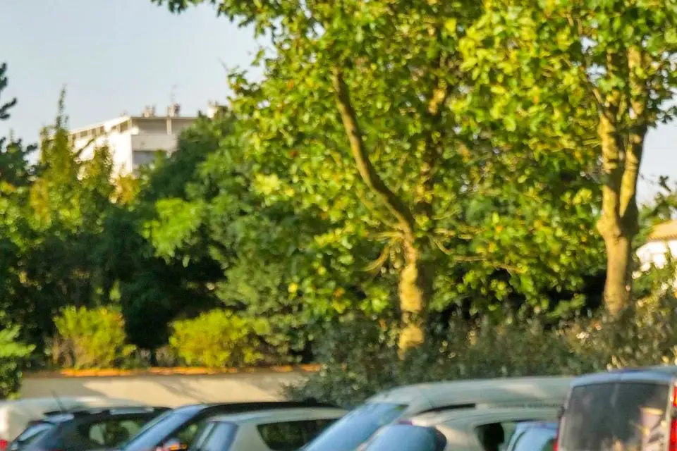 CG Vision — photo 5