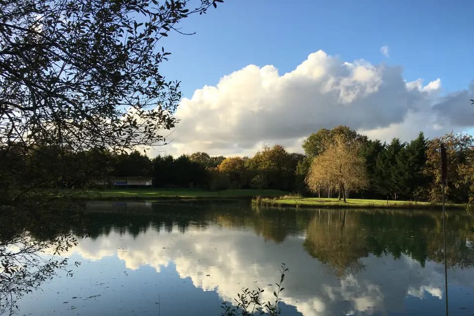 La Marionnière — photo 5