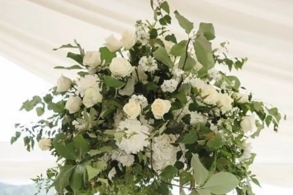 Aude Essner — photo 1