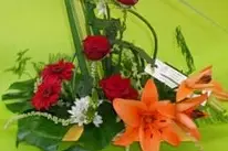 Le Jardin de Lily — photo 3