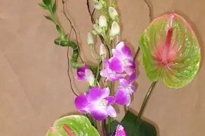 Le Jardin de Lily — photo 2