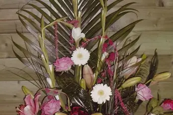 Le Jardin de Lily — photo 7