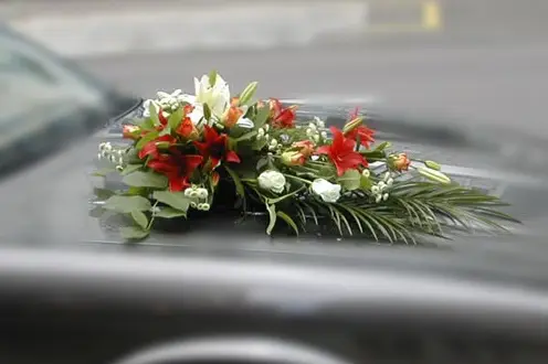 Le Jardin de Lily — photo 6