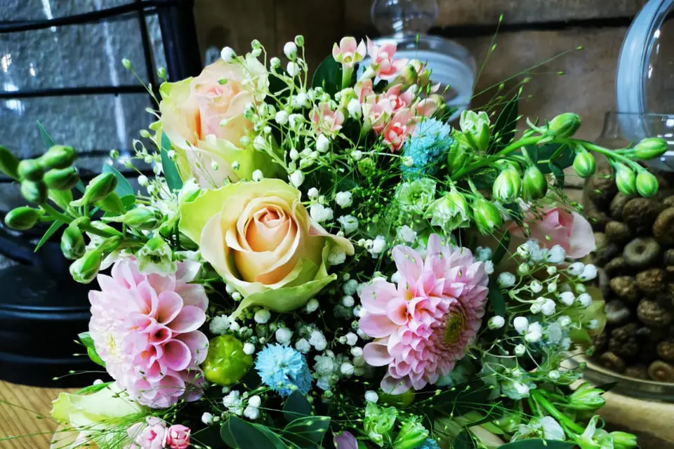 Le Camélia — photo 3