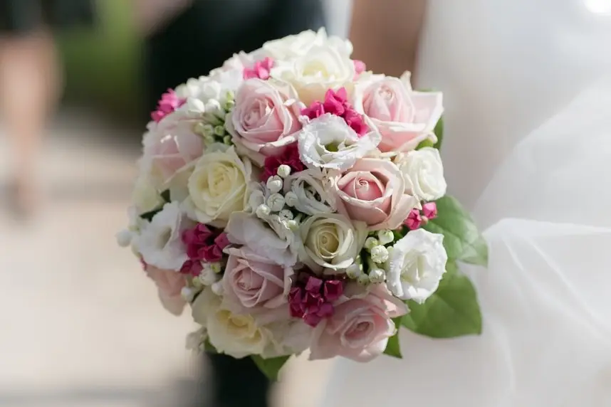 Le Camélia — photo 8