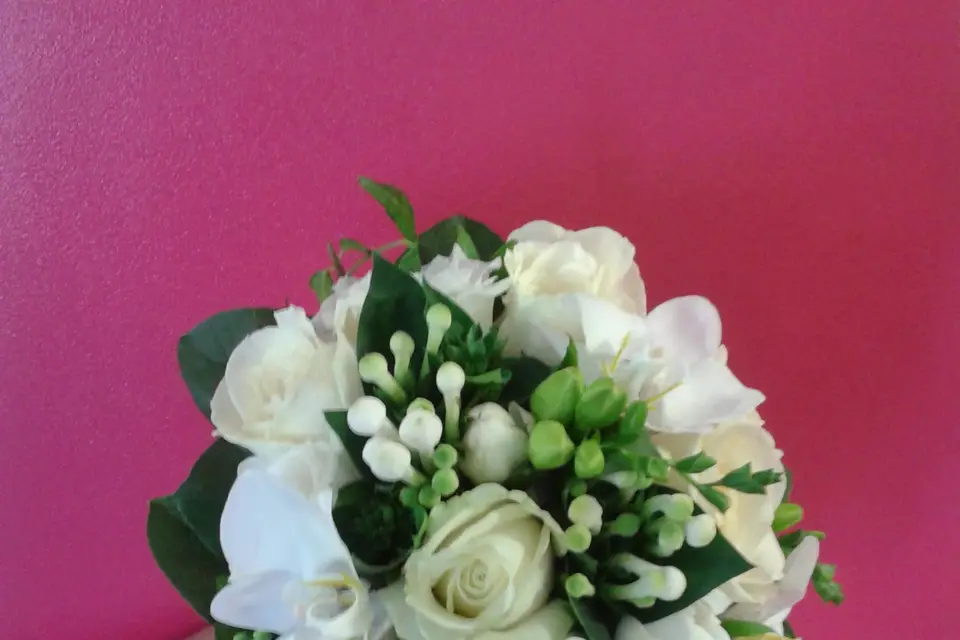 Le Camélia — photo 7