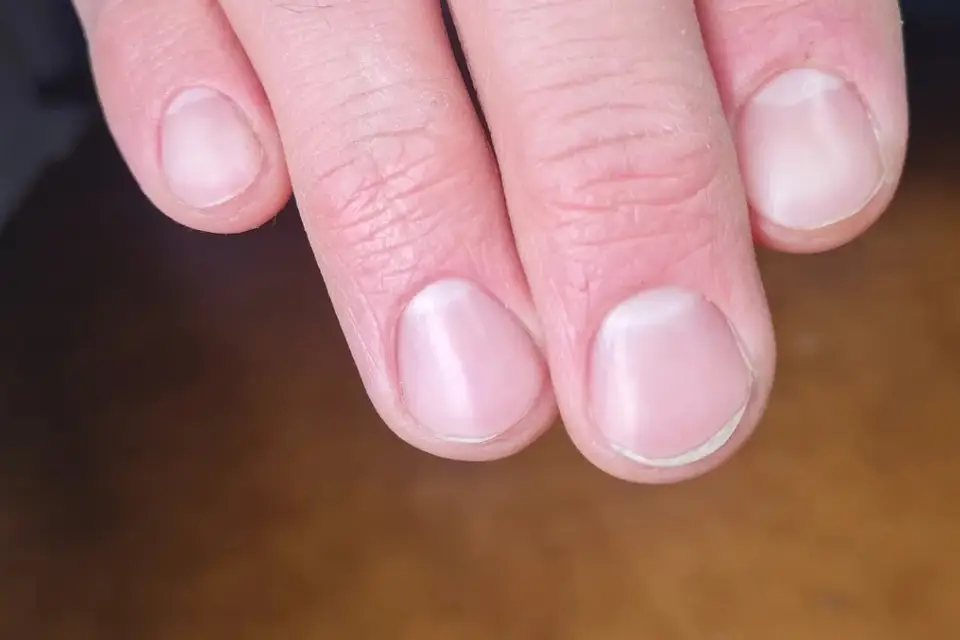 Morgan'Nails — photo 2