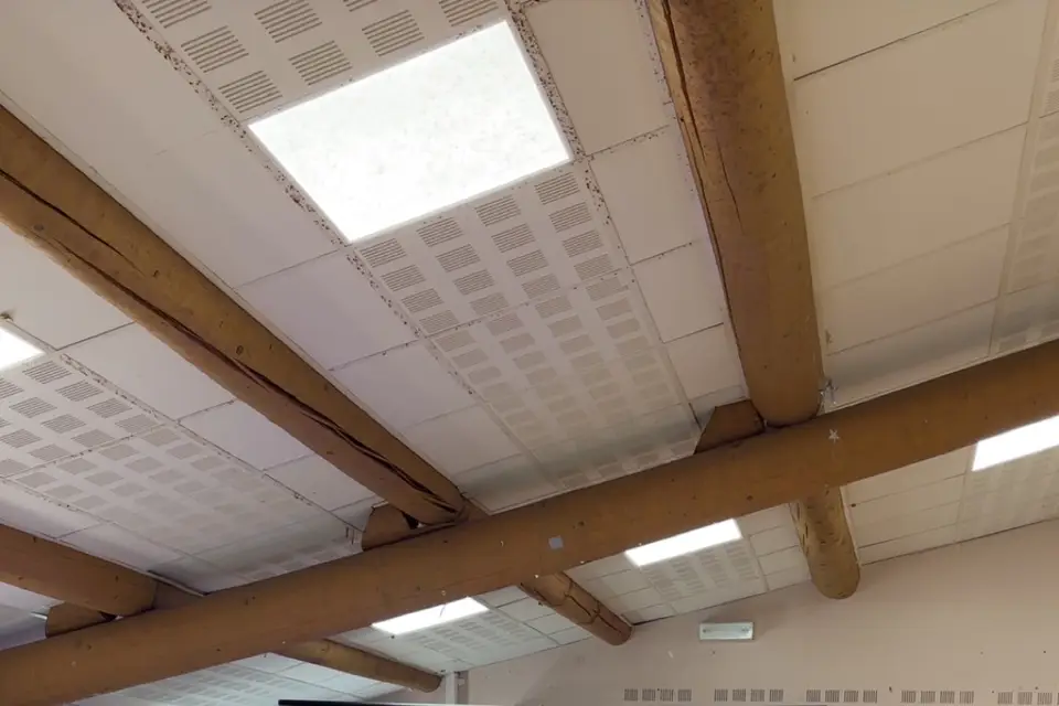 ALX Events — photo 6