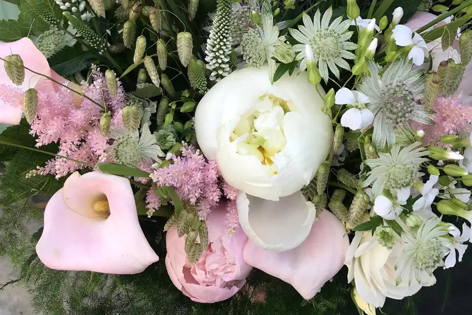 15 au jardin — photo 3