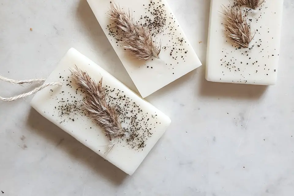 Leaves & Co — photo 1