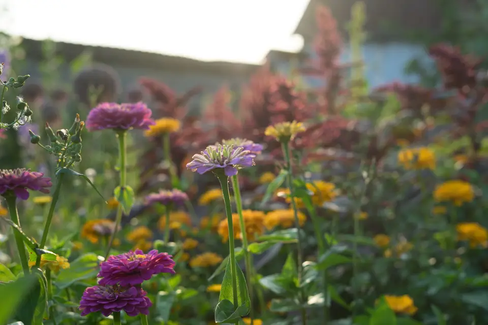 Leaves & Co — photo 6