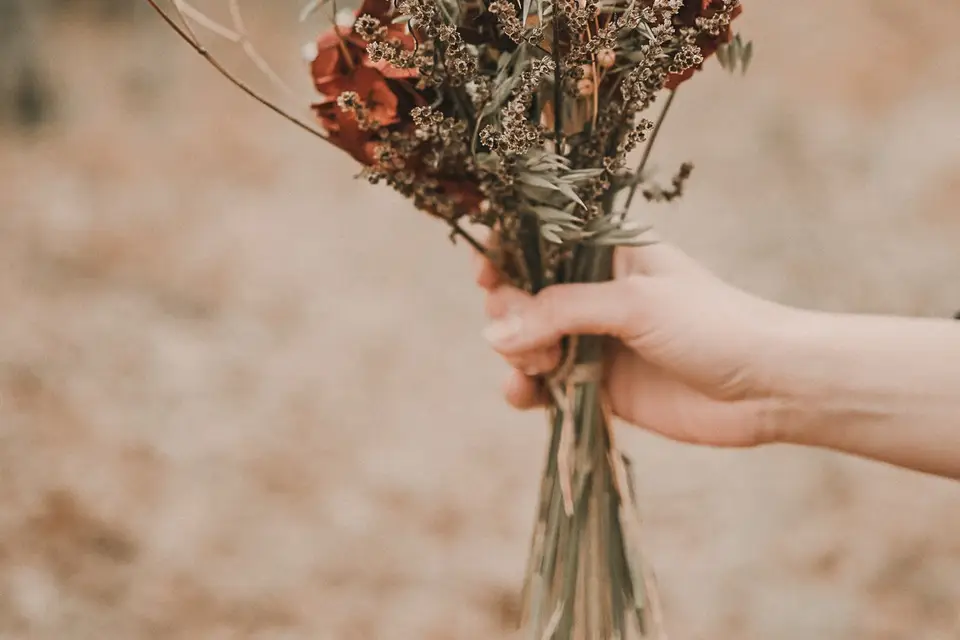 Margaux Obry - Ilys Films — photo 7