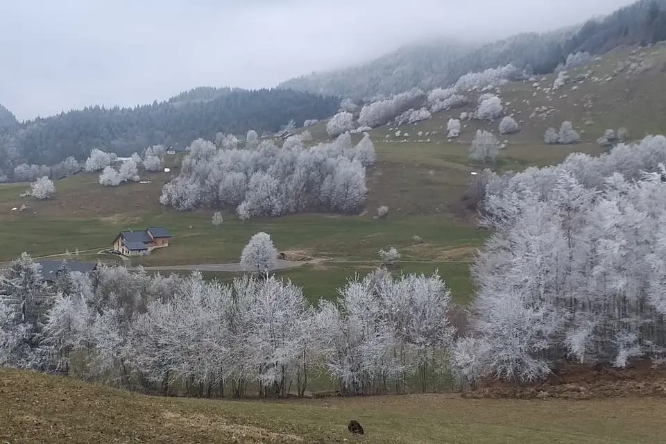 L'Escale du Desert — photo 7