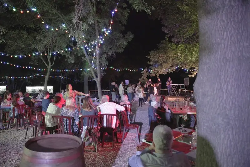 Patio de Camargue — photo 2