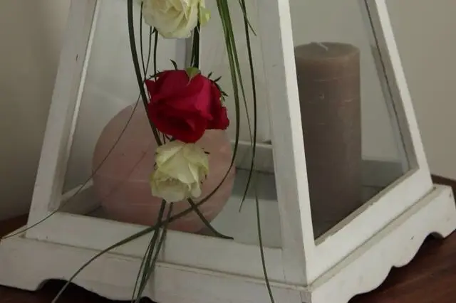 O'Déesse — photo 4