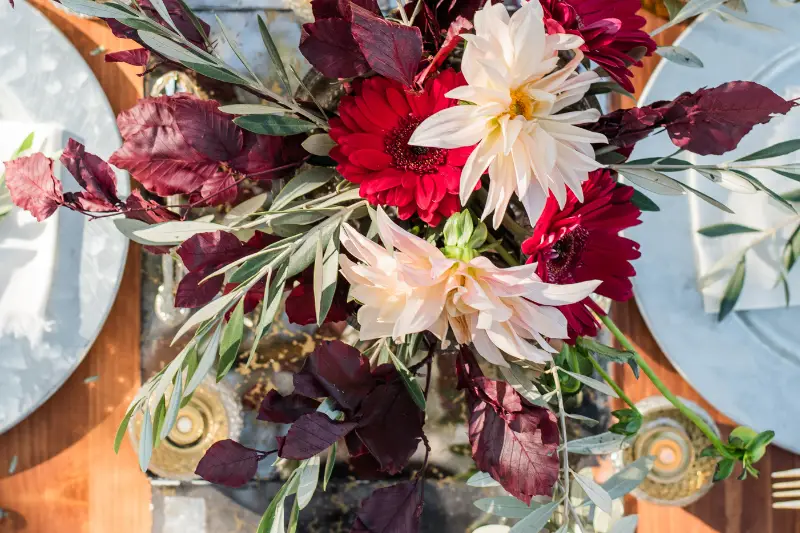 Venus Receptions — photo 4