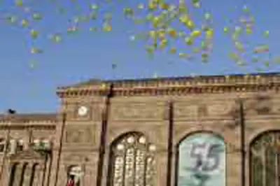 Ambiance Ballons — photo 1