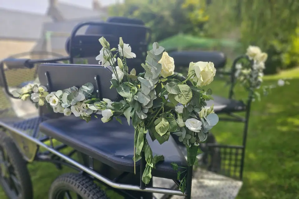 Marie Travert - Attelage entre terre et mer — photo 6