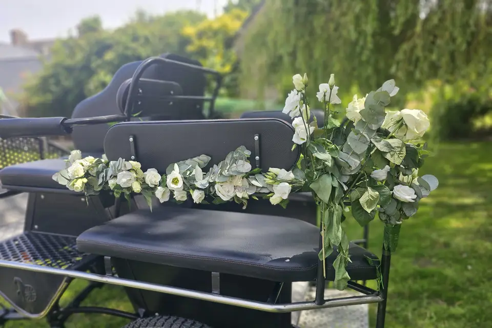 Marie Travert - Attelage entre terre et mer — photo 8