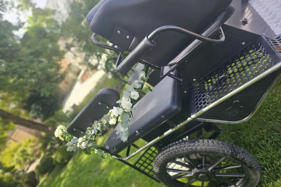 Marie Travert - Attelage entre terre et mer — photo 7