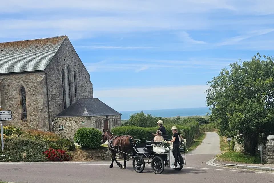 Marie Travert - Attelage entre terre et mer — photo 5