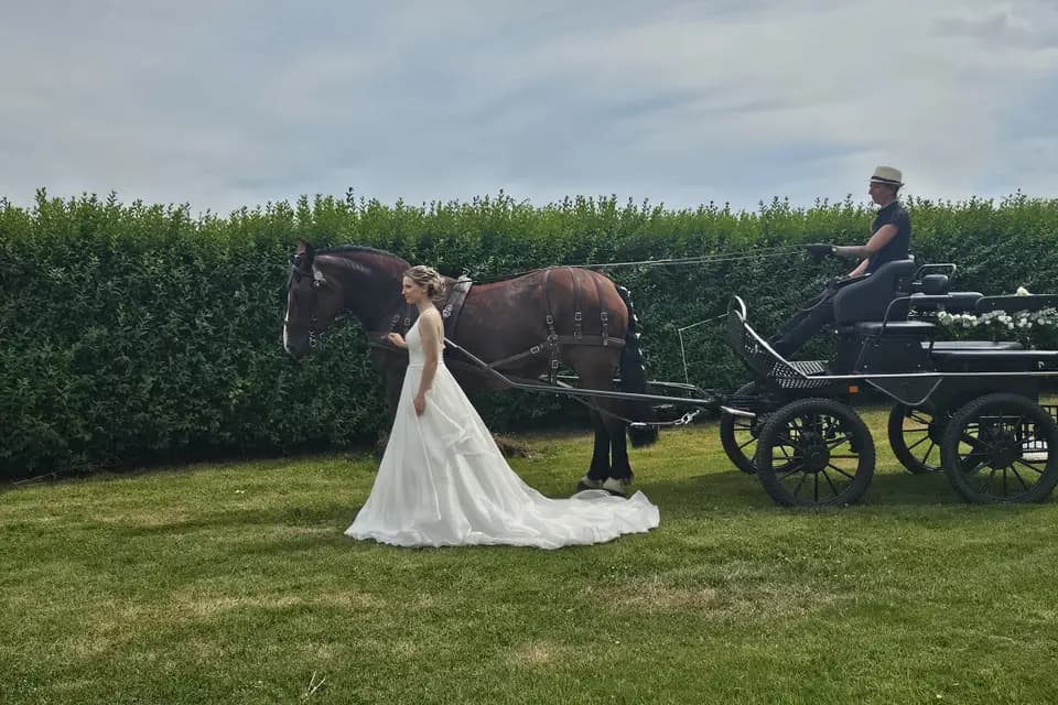 Marie Travert - Attelage entre terre et mer — photo 4