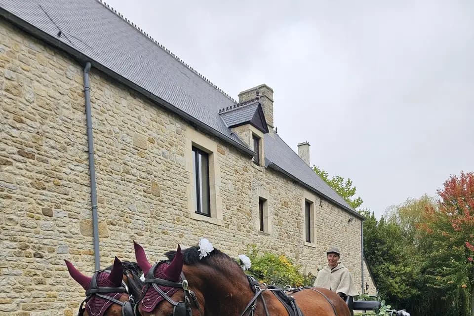 Marie Travert - Attelage entre terre et mer — photo 2