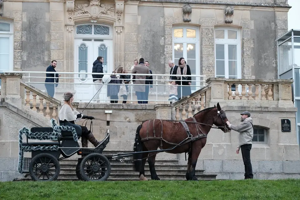 Marie Travert - Attelage entre terre et mer — photo 3