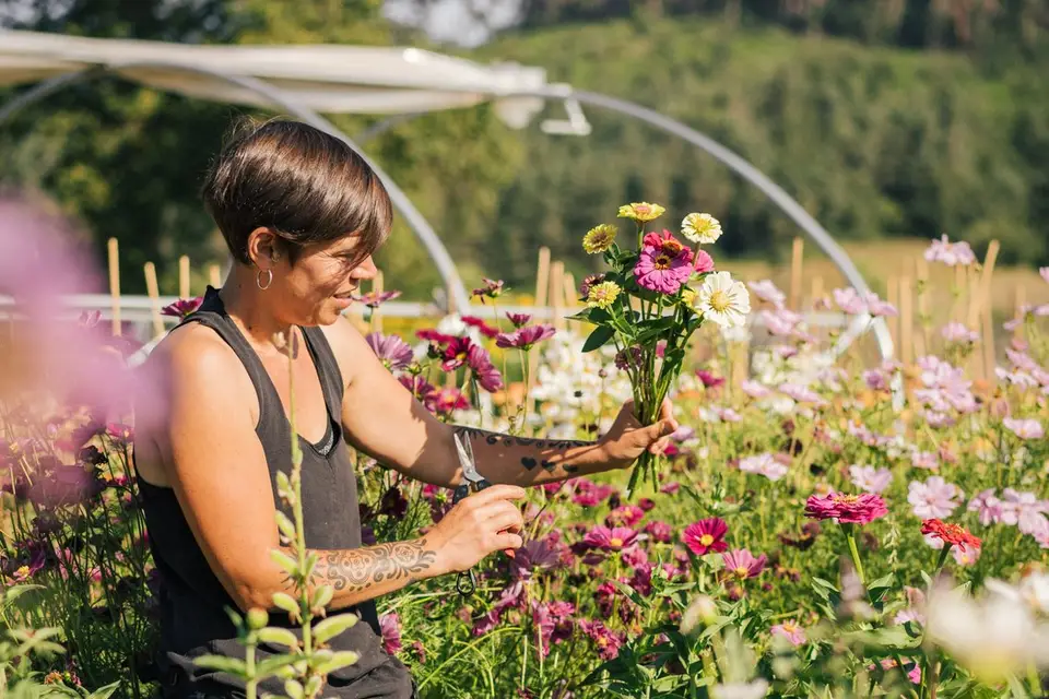 Rosebud Ferme Florale — photo 2