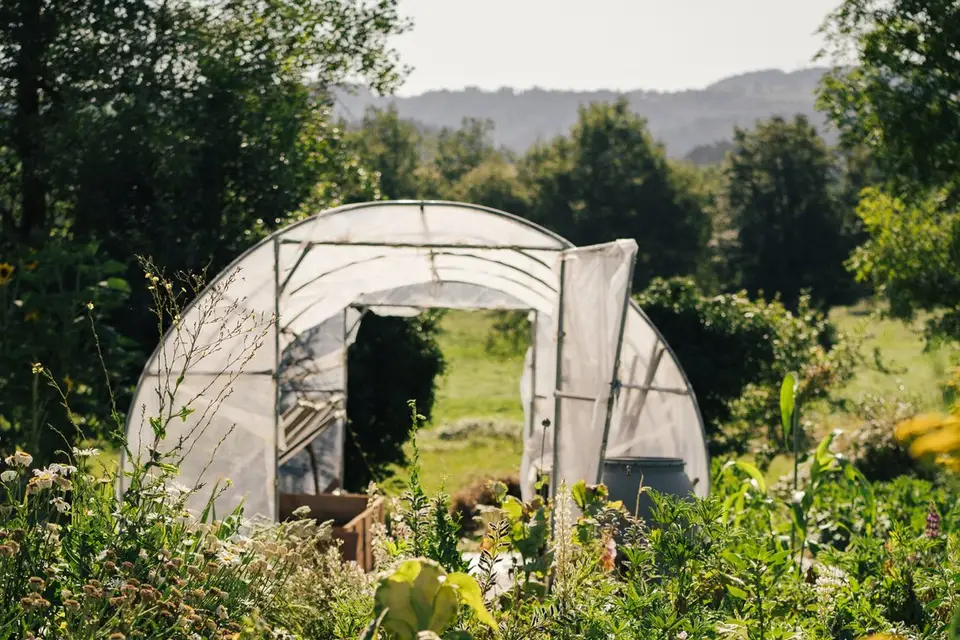 Rosebud Ferme Florale — photo 4