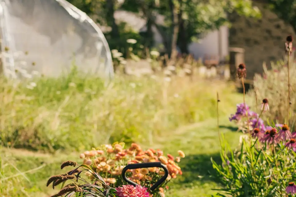 Rosebud Ferme Florale — photo 1