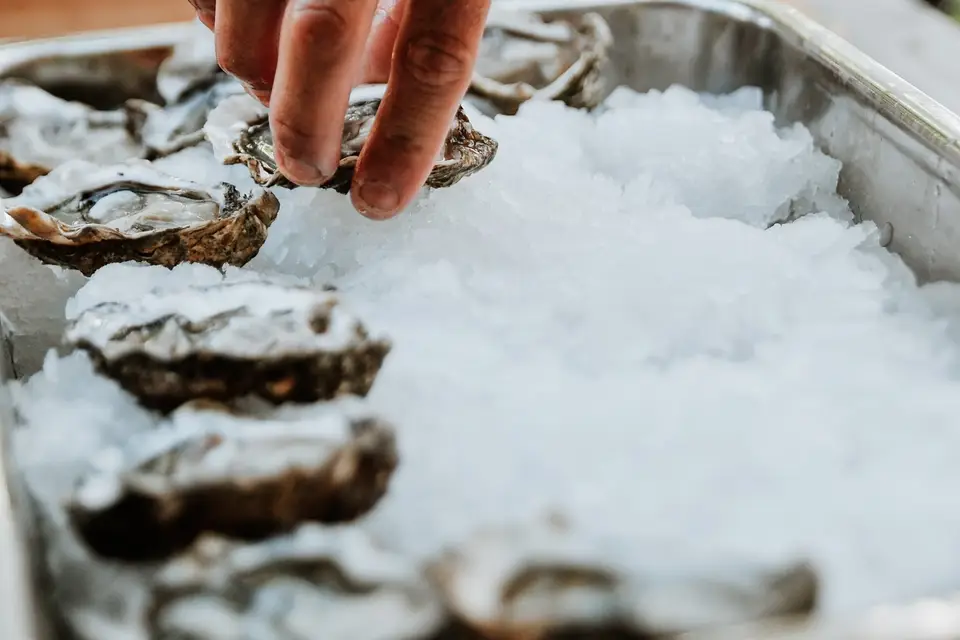 La Déguste — photo 4