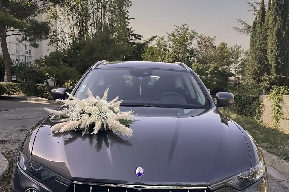 Mb Production — photo 1