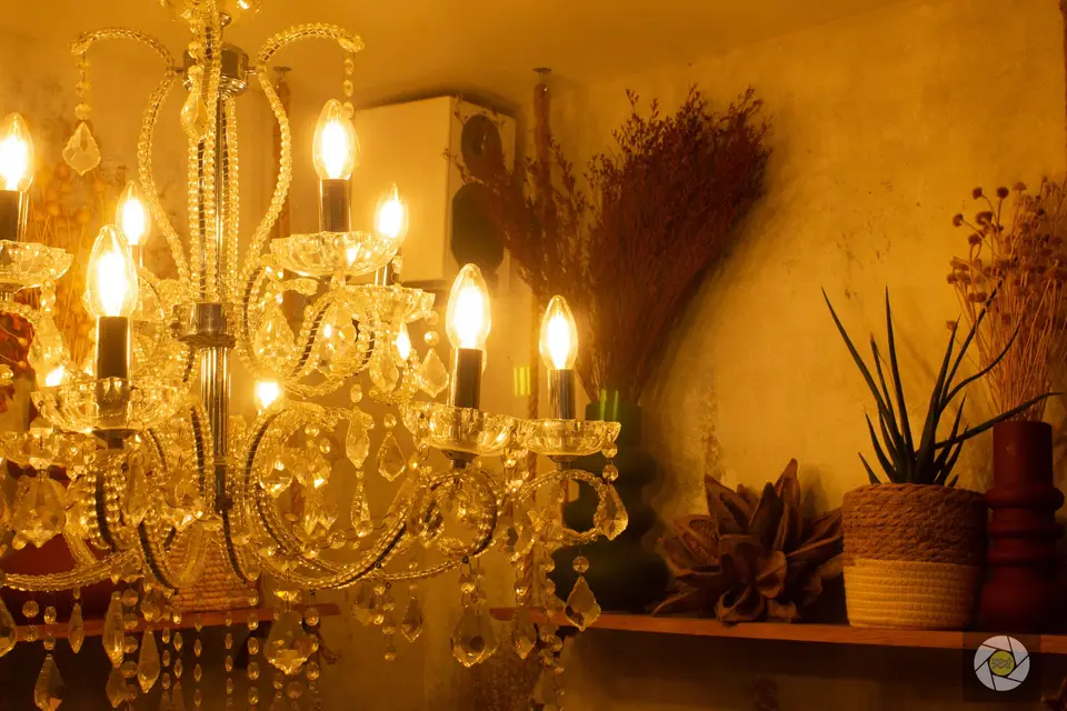 10SAI Agency — photo 7