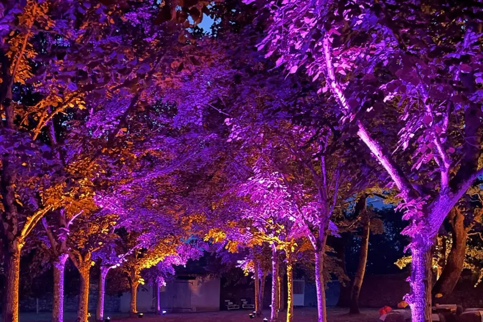 Média Diffusion — photo 4