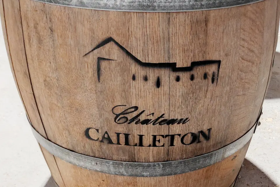 Château Cailleton — photo 7