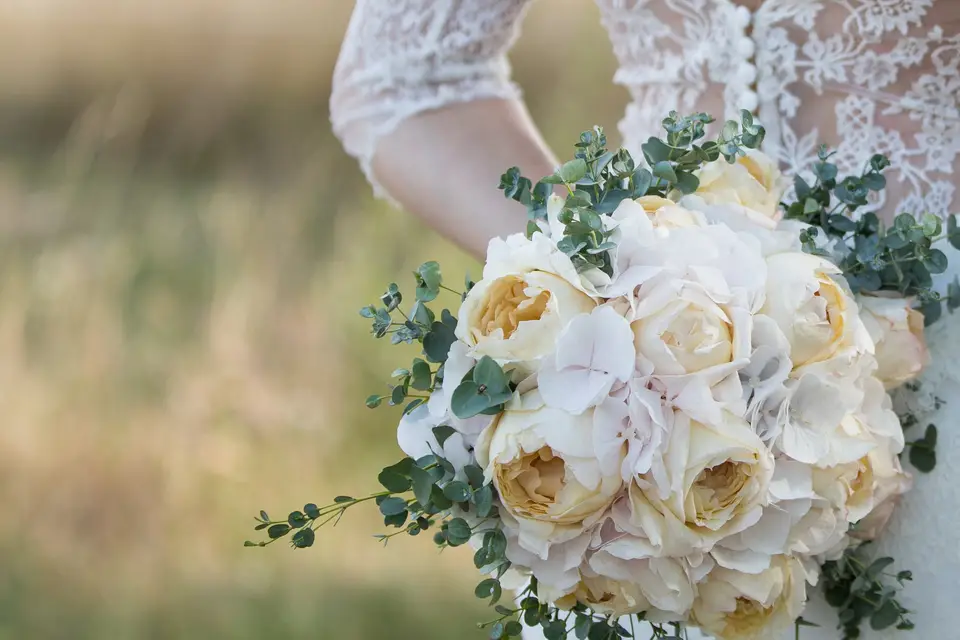 NMC Organisation — photo 6