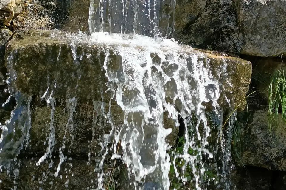 La Bichonnière — photo 2