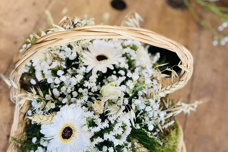 J’osêtre — photo 8