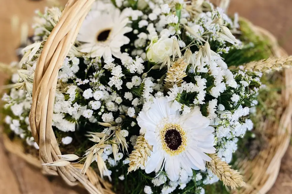 J’osêtre — photo 5