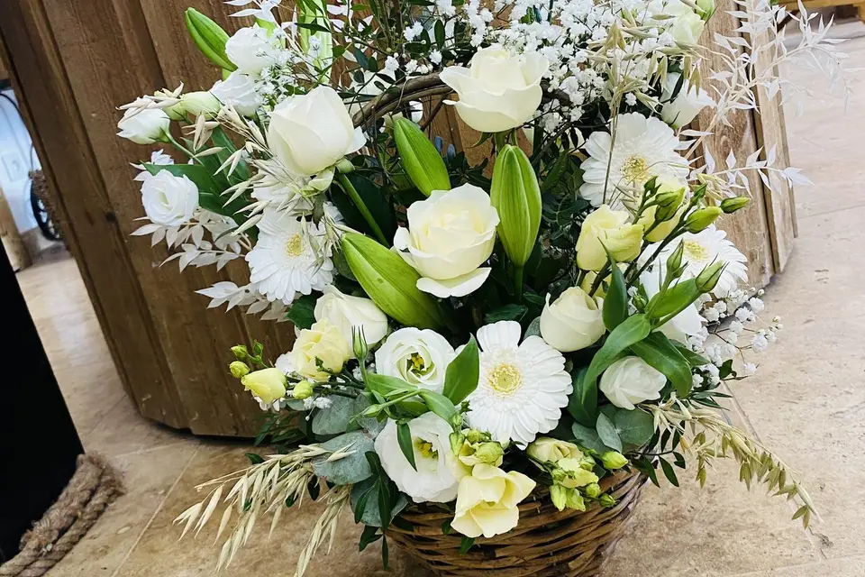 J’osêtre — photo 4