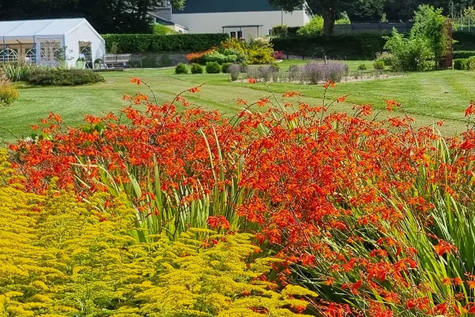 Le fief de Jade — photo 1