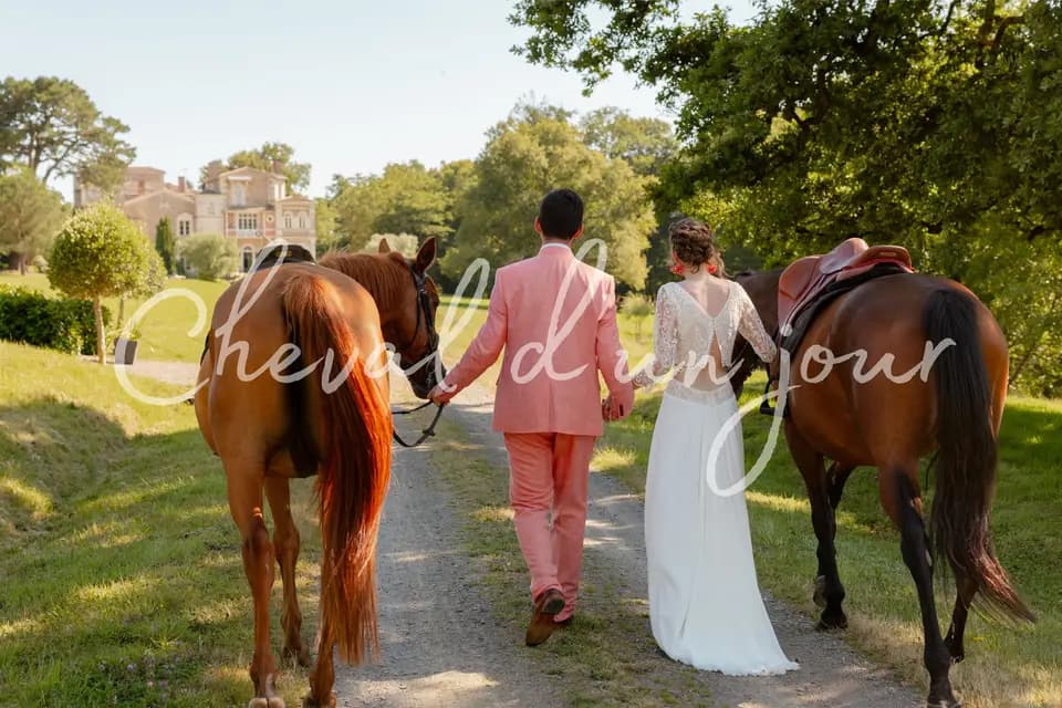 Cheval d'un Jour — photo 1