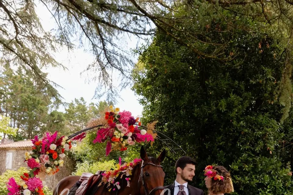 Cheval d'un Jour — photo 7