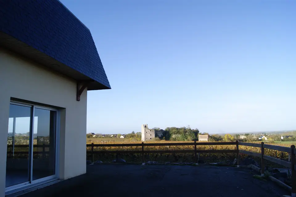 Domaine Delaunay — photo 7