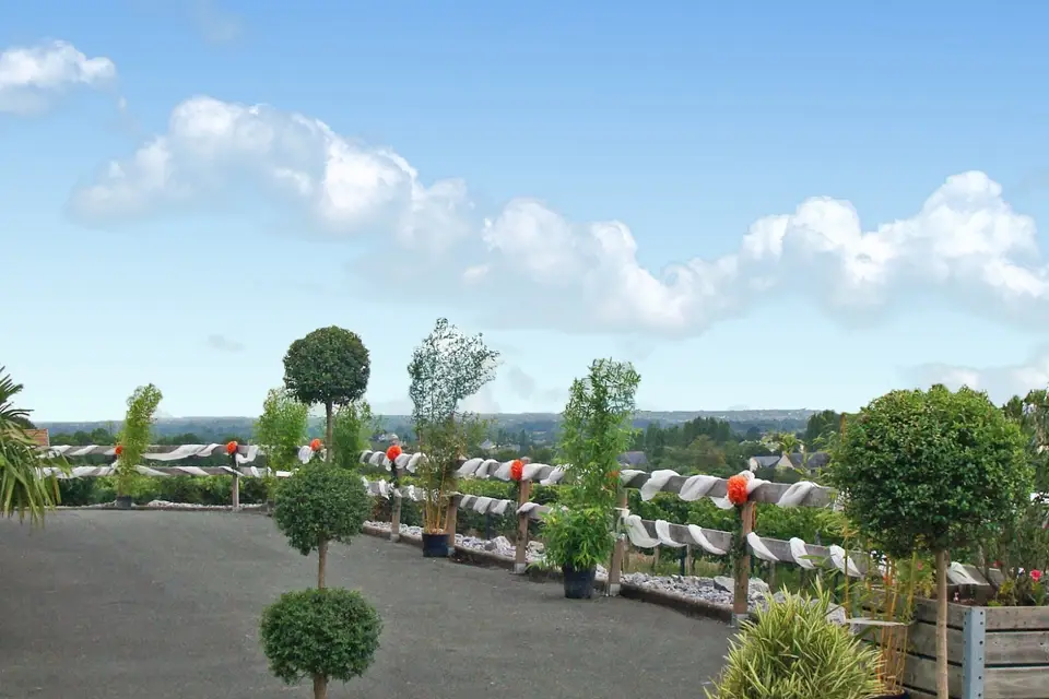 Domaine Delaunay — photo 4