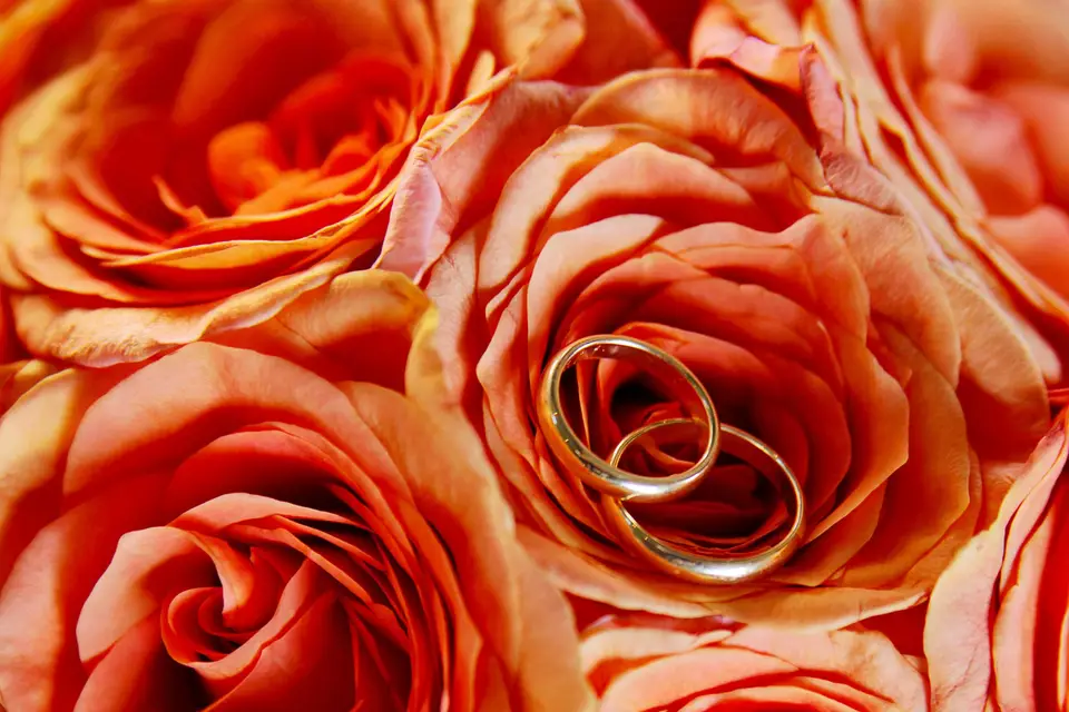 O'féérie Mariages & Événements — photo 5