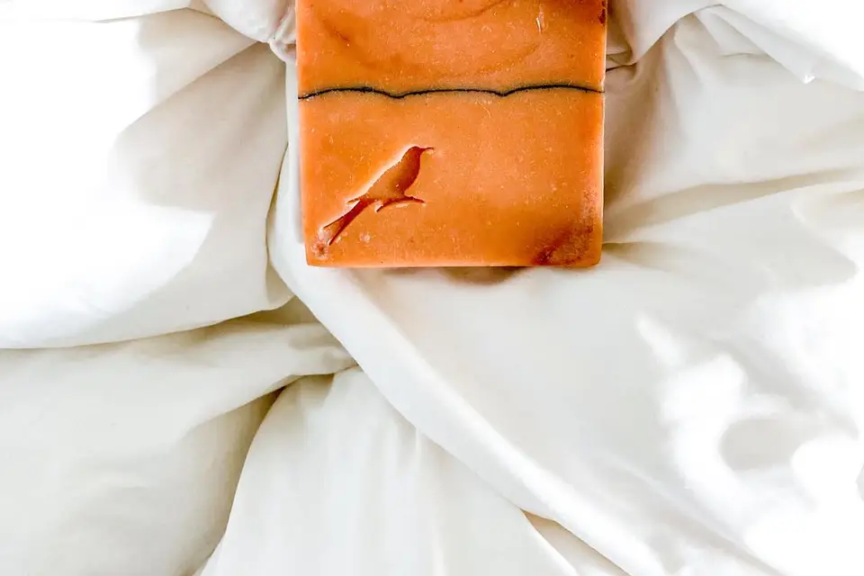 Sternartica — photo 6