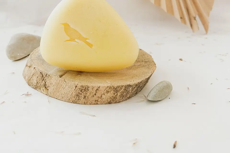 Sternartica — photo 7